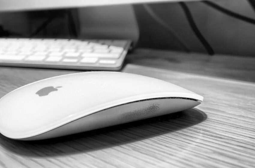 Grab the New Apple Mouse Now! At 50% Discount!